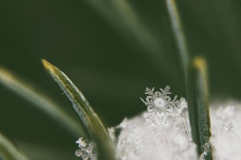 Kunstgras in de winter - Kunstgrashuis