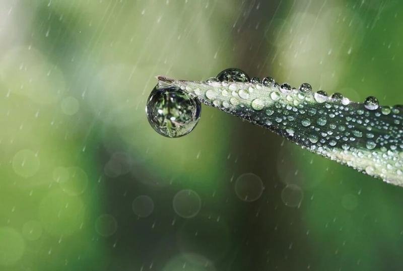 Vochtproblemen in de tuin