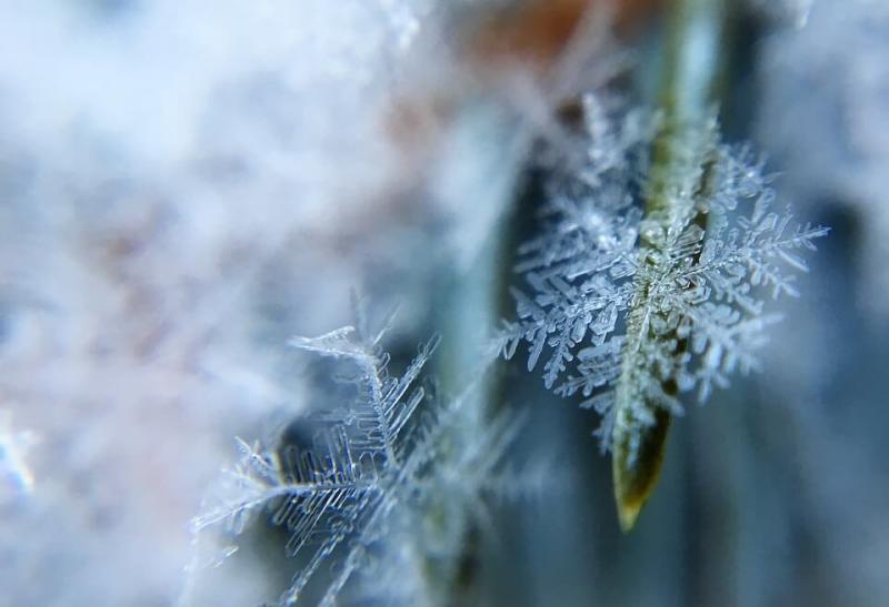 Kunstgras in de winter - Kunstgrashuis