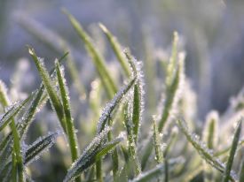 Kunstgras leggen in de winter