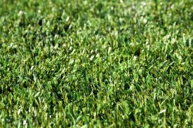 Kunstgras kankerverwekkend: waar of niet waar? Kunstgras kankerverwekkend: waar of niet waar?
