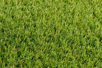 Petgrass 1